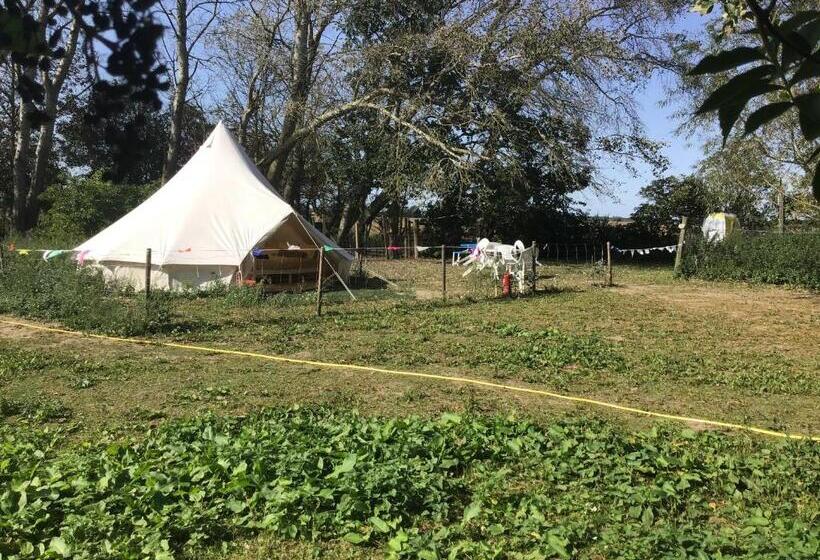 كوخ قياسي, Willow Barn