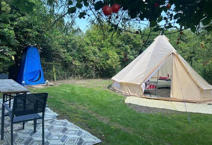 Standard Tent, Willow Barn