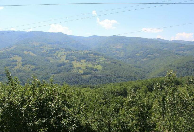 اتاق لوکس چهار تخته, Vila Madera Pribojska Banja