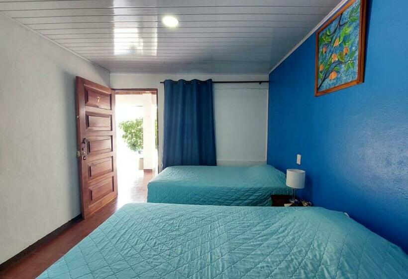 חדר סטנדרט, Hôtel Pez Gallo