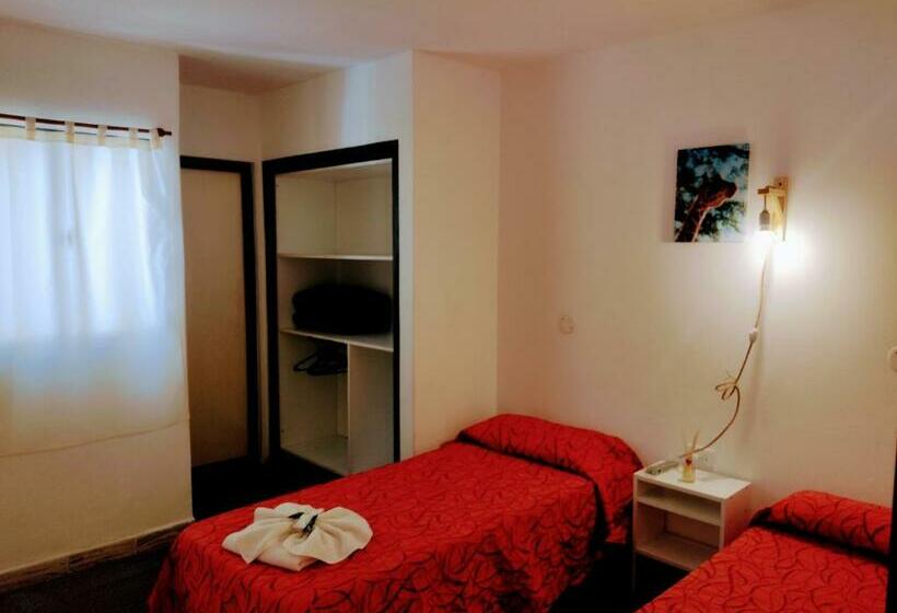 Номер Стандарт, Ns