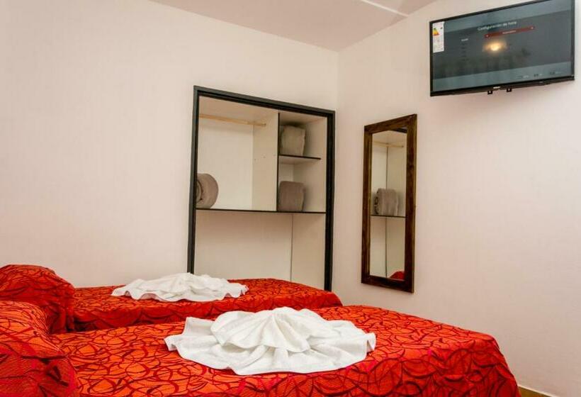 Номер Стандарт, Ns