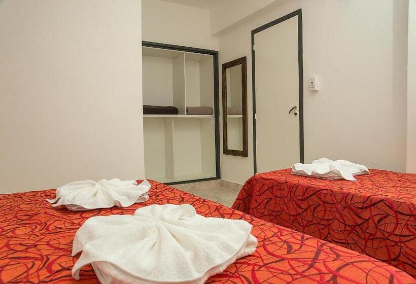 Номер Стандарт, Ns