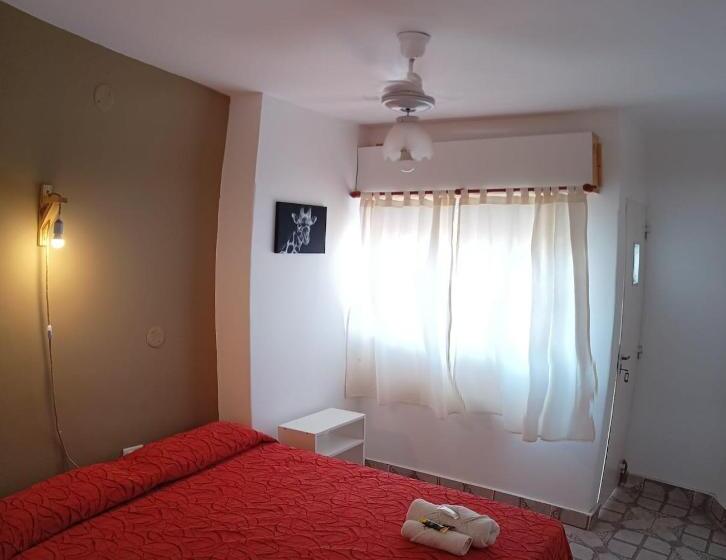 Номер Стандарт, Ns