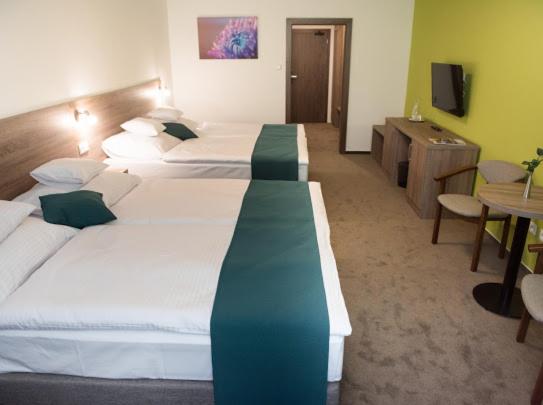 Четырехместный Номер Классик, Slávia Svidník Spa & Restaurant