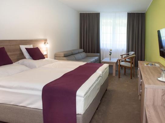 Номер Superior, Slávia Svidník Spa & Restaurant