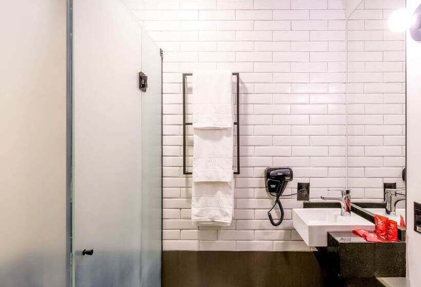 Апартаменты 1 Спальня, Ibis Ribeirão Preto Vila Do Golf