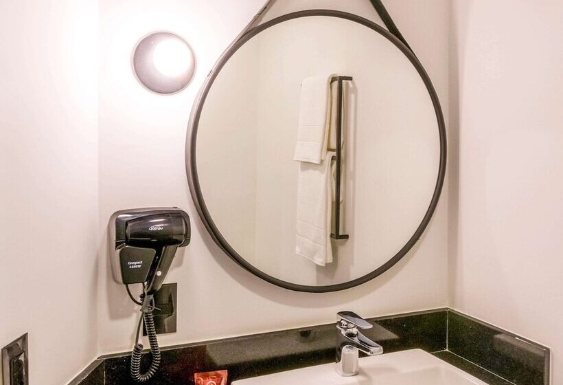 Апартаменты 1 Спальня, Ibis Ribeirão Preto Vila Do Golf