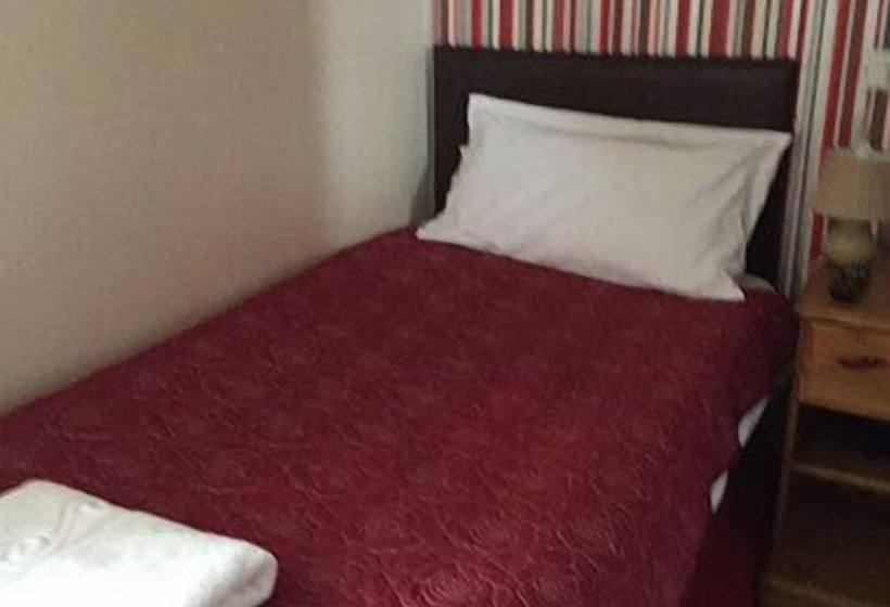 标准单人间, Ambrose