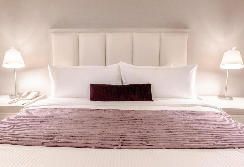 Quarto Deluxe Cama King, Antaris Galerias
