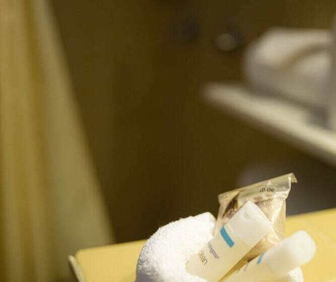 غرفة قياسية, Buena Vista Oceanfront & Hot Springs Resort