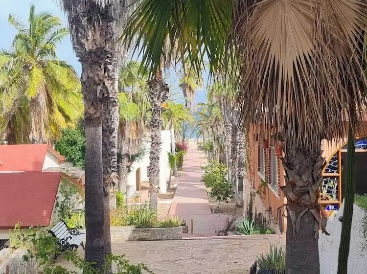 プレミアムルーム, Buena Vista Oceanfront & Hot Springs Resort