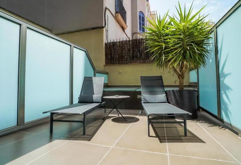 اتاق سوپریور, Constanza