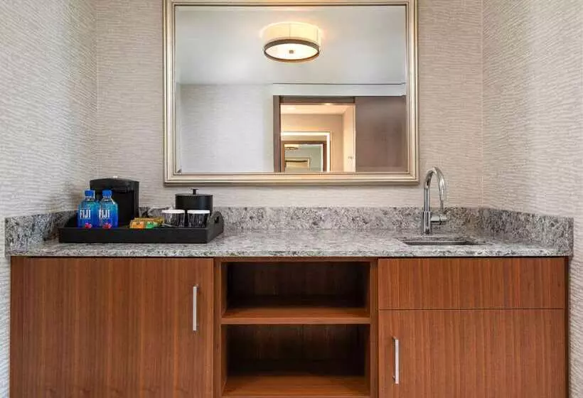 اتاق استاندارد با تخت بزرگ, Hilton Santa Clara