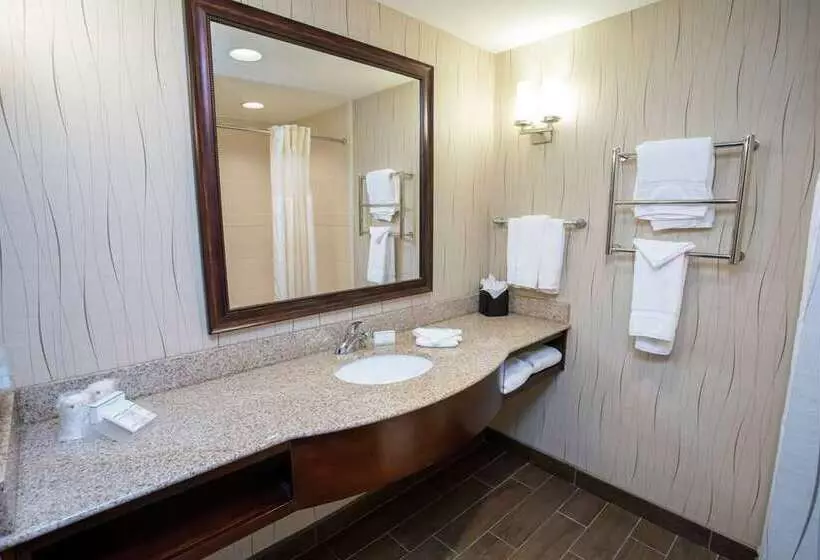 اتاق استاندارد با تخت بزرگ, Hilton Santa Clara
