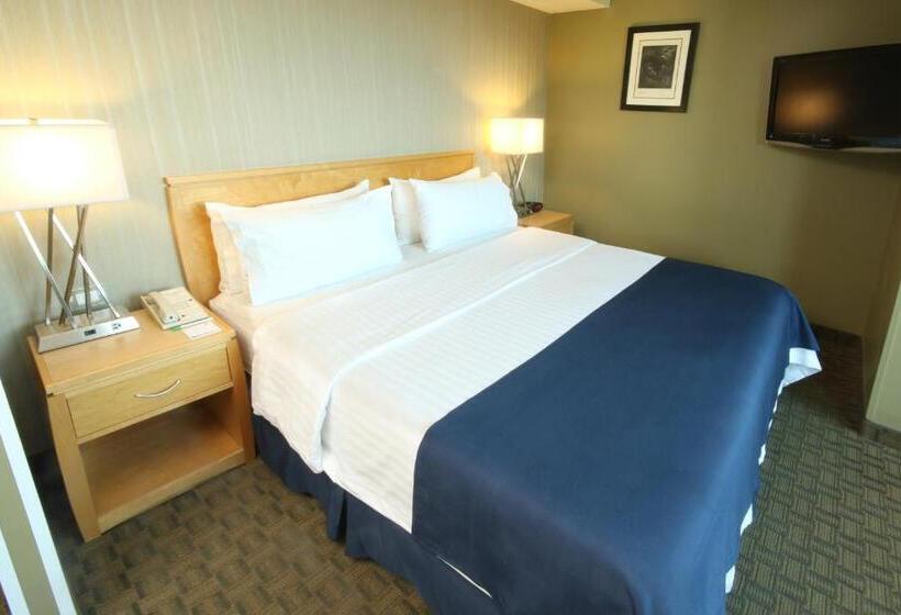 キングサイズベッドのスタンダードルーム, Holiday Inn Cuernavaca, An Ihg