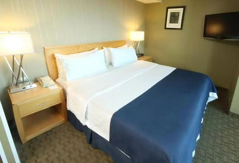 キングサイズベッドのスタンダードルーム, Holiday Inn Cuernavaca, An Ihg
