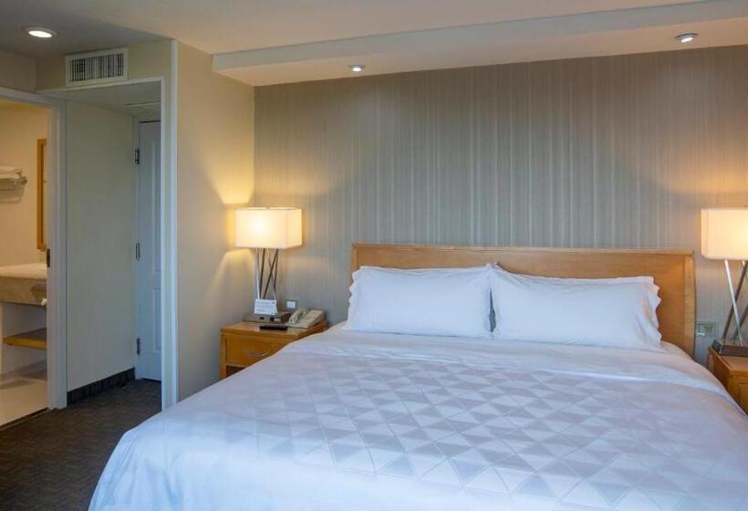 プールビュースタンダードルーム, Holiday Inn Cuernavaca, An Ihg