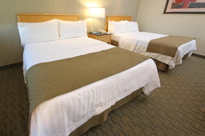 スタンダードルーム, Holiday Inn Cuernavaca, An Ihg