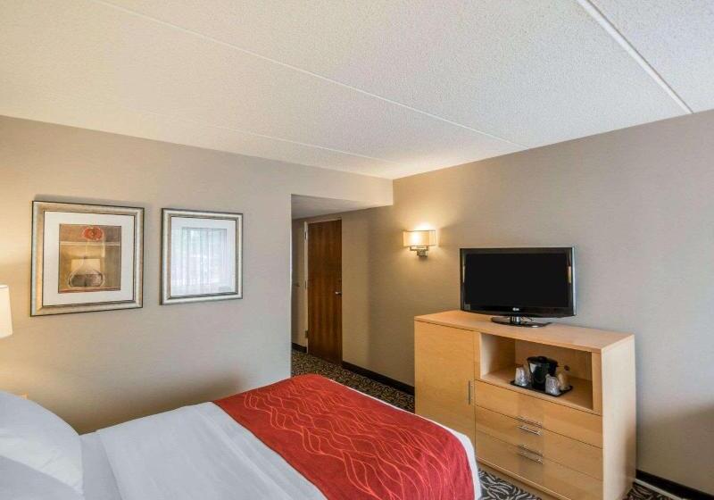 Standard-huone, Johannisbad