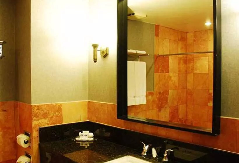 اتاق استاندارد یک نفره, Royal Garden Reynosa