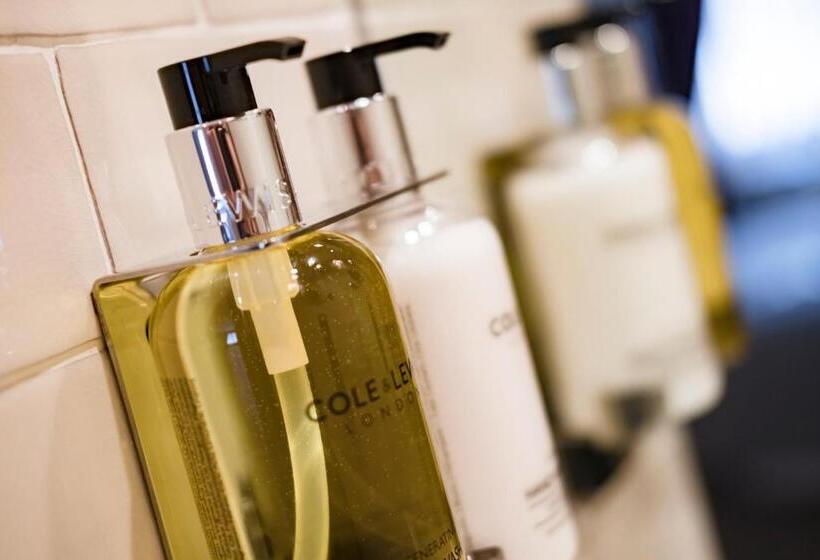 غرفة ديلوكس سرير كينج, The Chamberlain