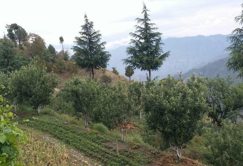 غرفة ديلوكس مطلة على الجبل, Rosewood Estate