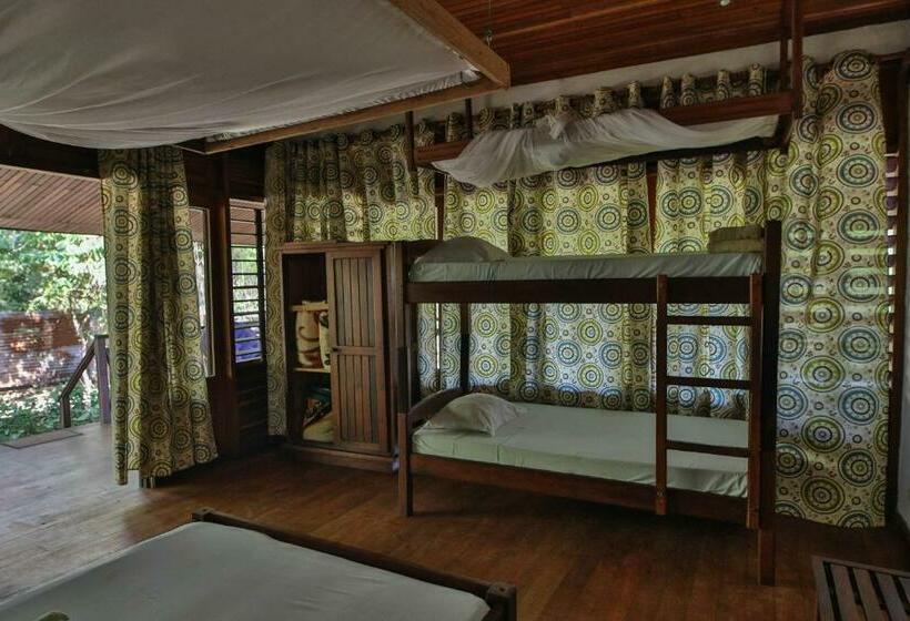 اتاق سوپریور چهار تخته, Olympe De Bemaraha