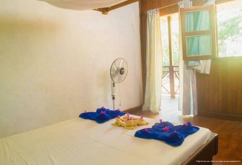 اتاق اکونومی, Olympe De Bemaraha