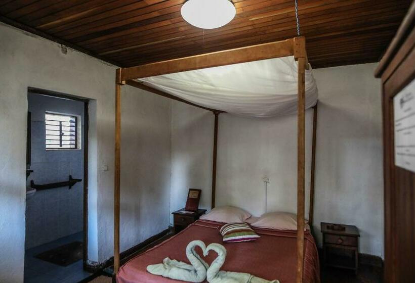 اتاق اکونومی, Olympe De Bemaraha