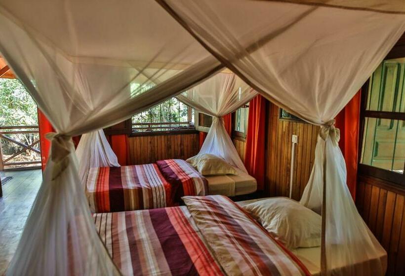 اتاق استاندارد, Olympe De Bemaraha