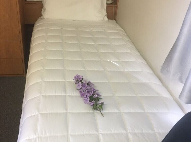 חדר משפחתי, Bridge View Motel