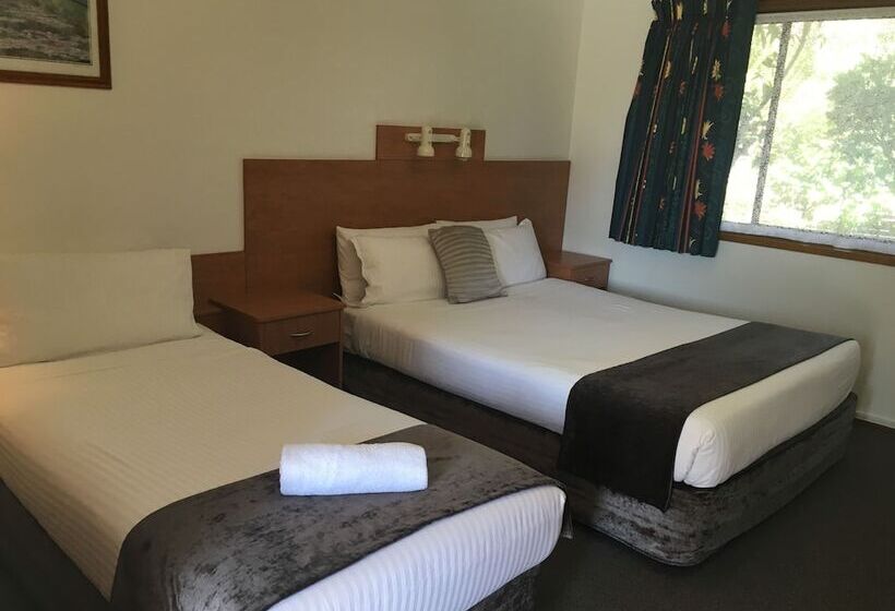 חדר סטנדרט, Bridge View Motel