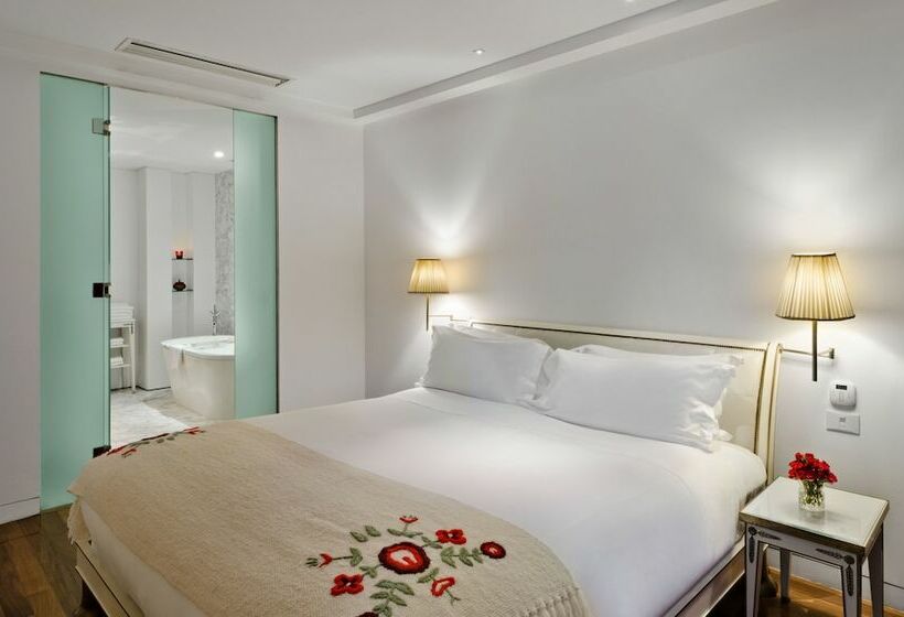 اتاق استاندارد با چشم‌انداز پارک, Faena Hotel Buenos Aires