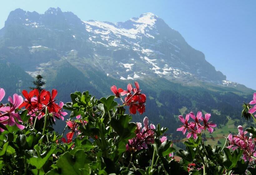 חדר סופריור עם נוף להרים, Alpenhof