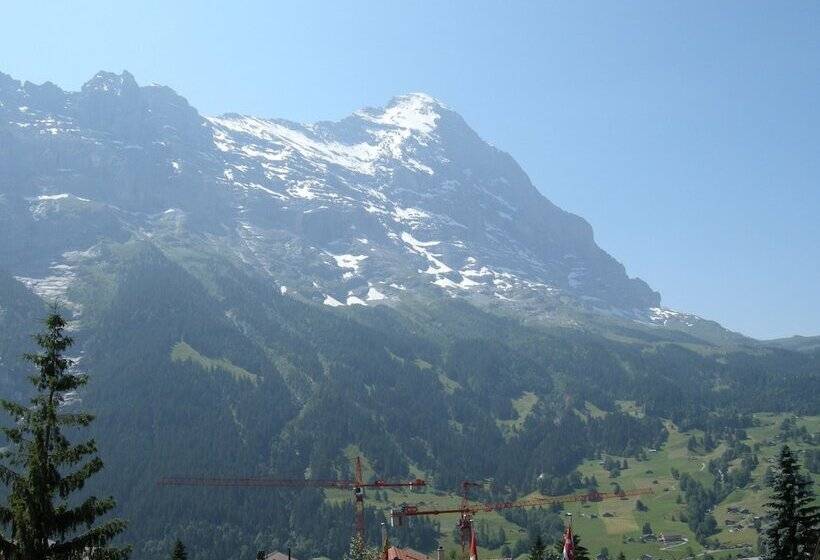 חדר יחיד עם טרסה, Alpenhof