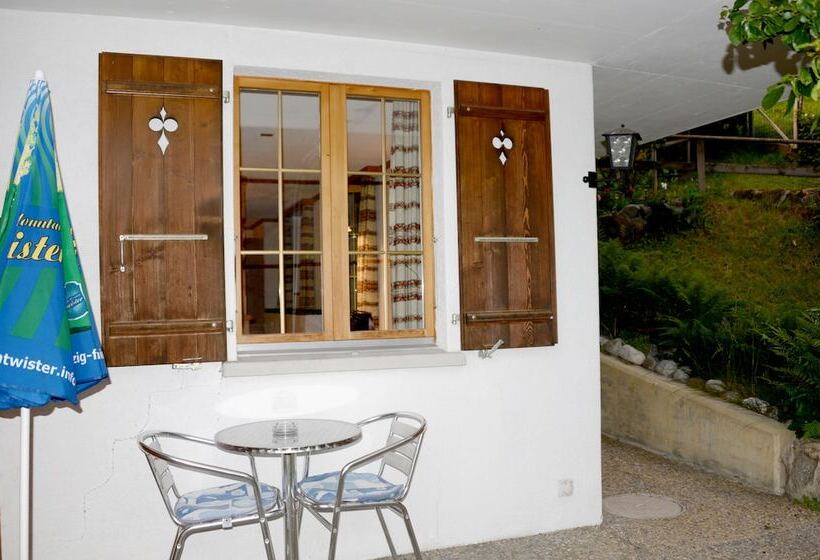 חדר יחיד עם טרסה, Alpenhof