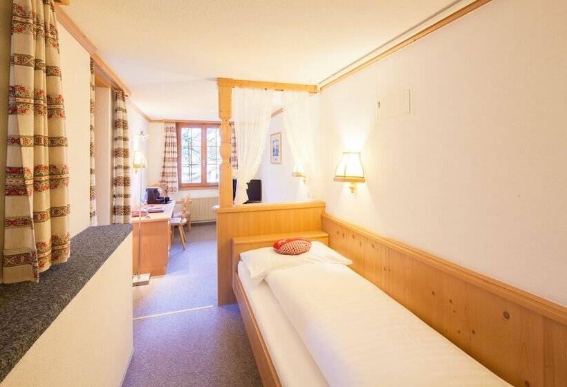 Одноместный Номер с Террасой, Alpenhof