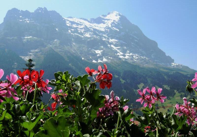 Номер Стандарт с Балконом, Alpenhof