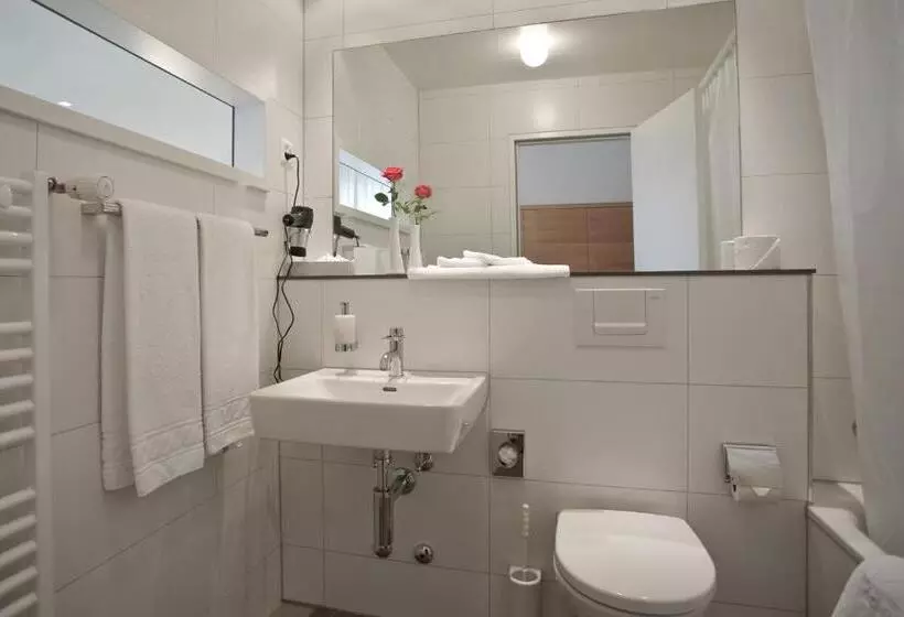 Standard-huone Pääsy Spa-tilaan, Bad Ramsach