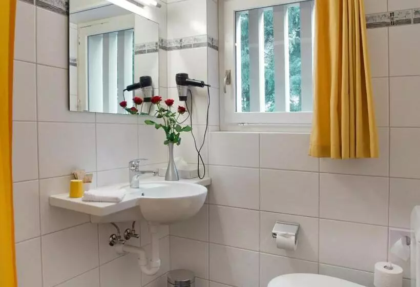 Standard-huone King-vuode, Bad Ramsach
