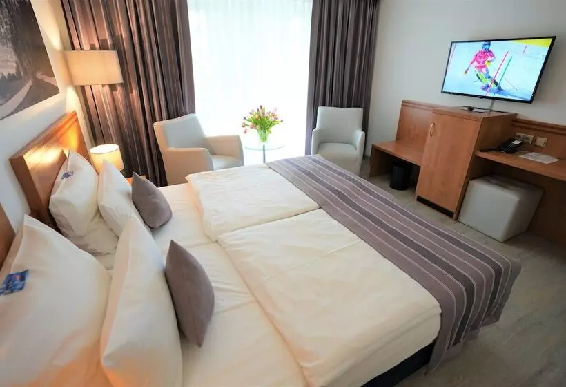 スタンダードインサイドビュールーム, Parkhotel Sonnenberg