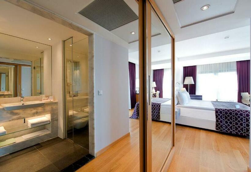 اتاق استاندارد با چشم‌انداز شهر, Akra V