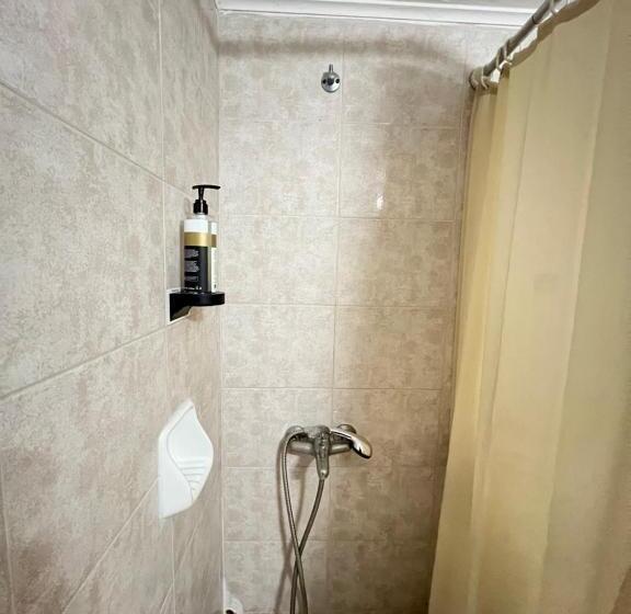 Номер Стандарт, Asterias