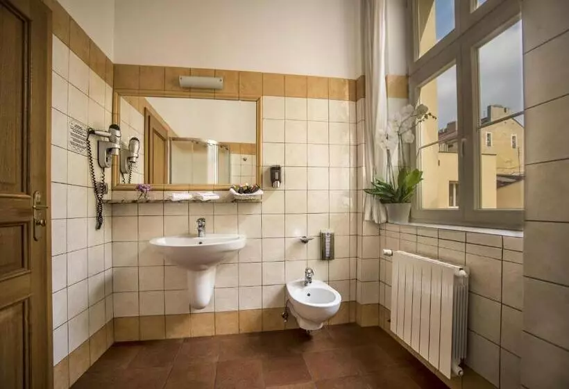 Quarto Estandar, Caesar Prague