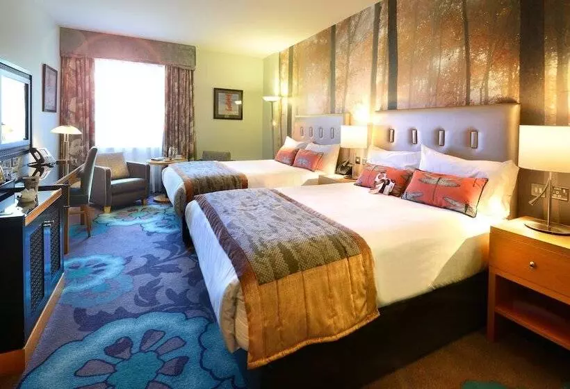 اتاق استاندارد, Crowne Plaza Dublin Airport, An Ihg