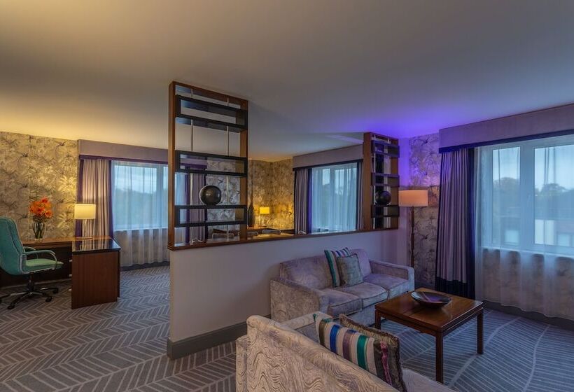 스위트, Crowne Plaza Dublin Airport, An Ihg
