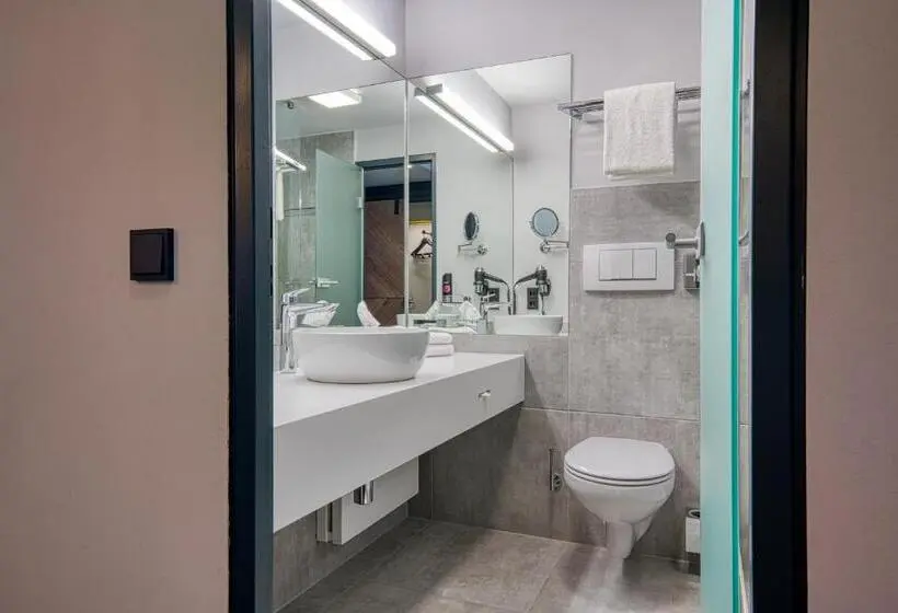 اتاق اجرایی, PLAZA INN Salzburg Messe
