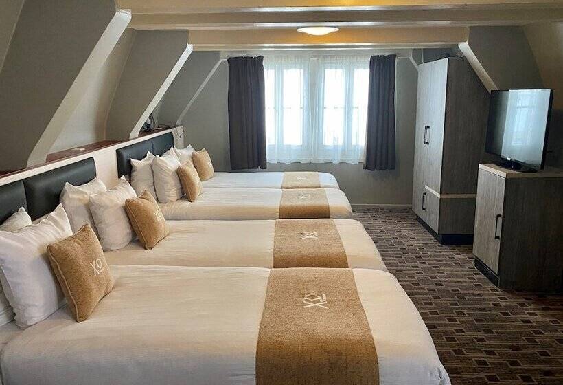 اتاق استاندارد چهار تخته, Xo Hotels City Centre