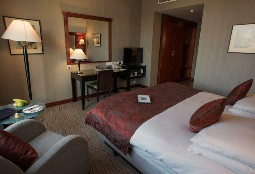اتاق استاندارد یک نفره, Signia By Hilton Amman